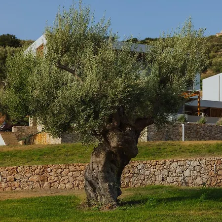 2s Villa *